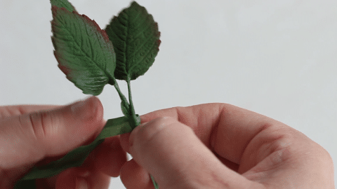 Come usare il nastro da fiorista